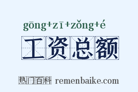 工资总额是什么意思的图片